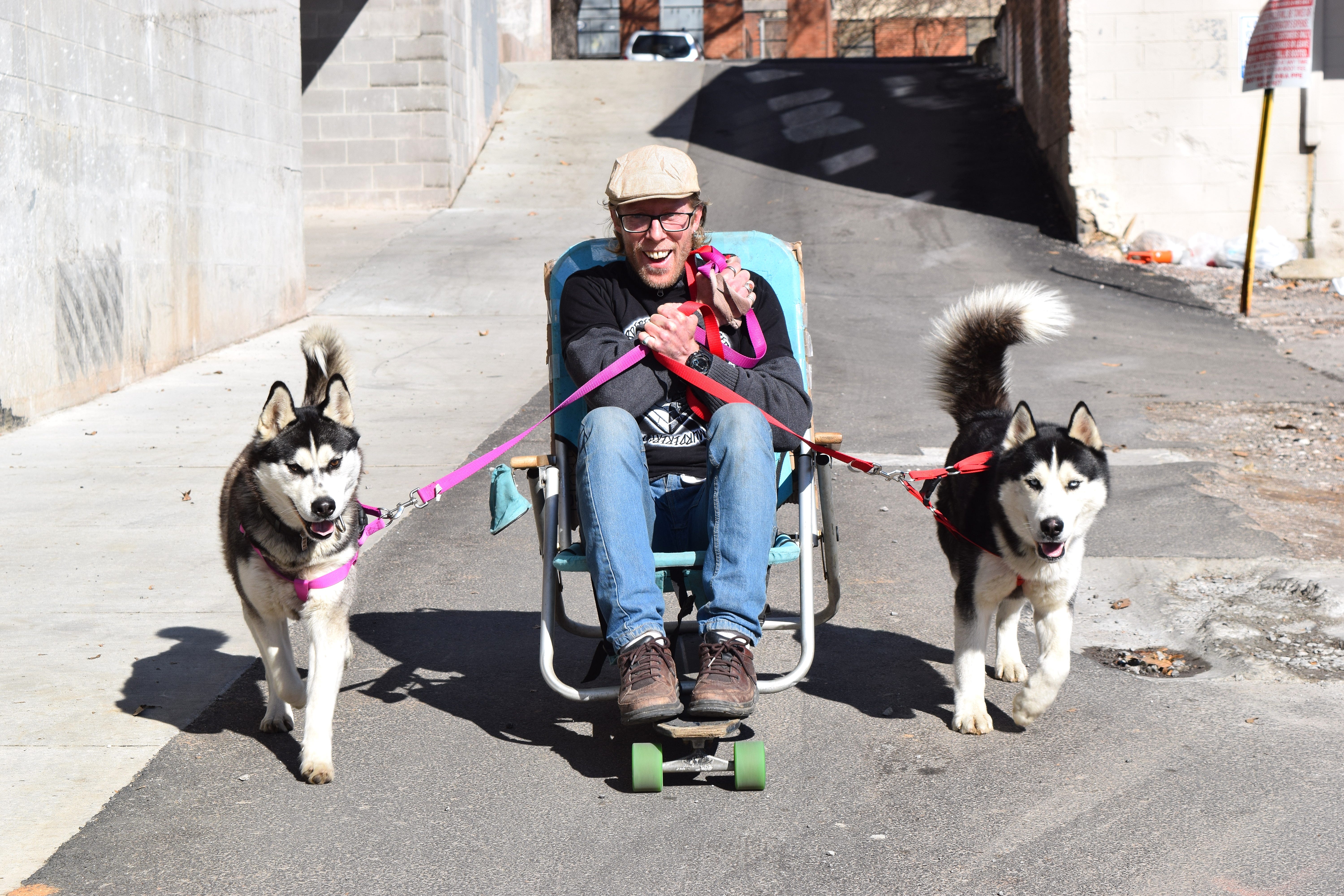 world's ugliest dog 2017